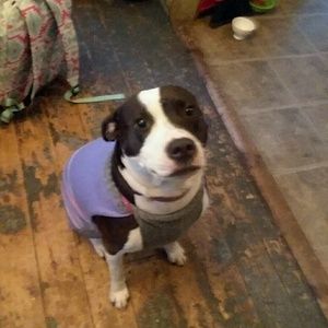 Meet your Posher, Kellie